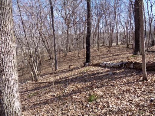 This area of Polk County is known for producing Big Bucks!