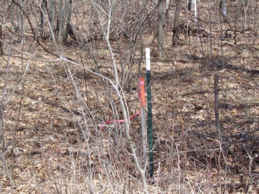 This property has been surveyed!