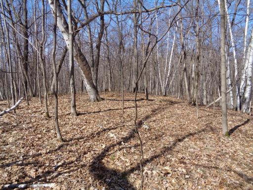 This is a true sportsman's paradise!