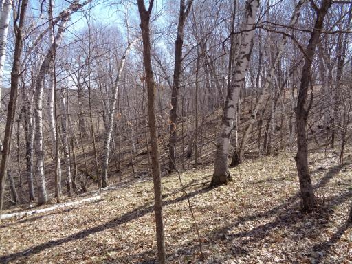 You have access from 3 sides of this property!