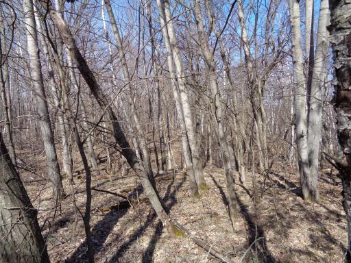 Some great bedding areas