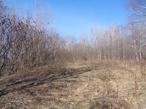 Several great stand locations!