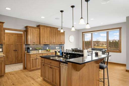10590 Watersedge Lane, Saint Paul, MN 55129