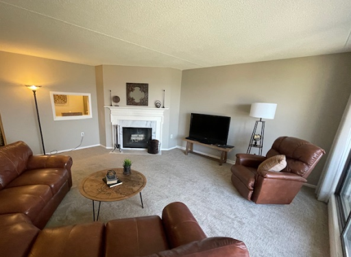 with its wood burning fireplace and view from the kitchen window.