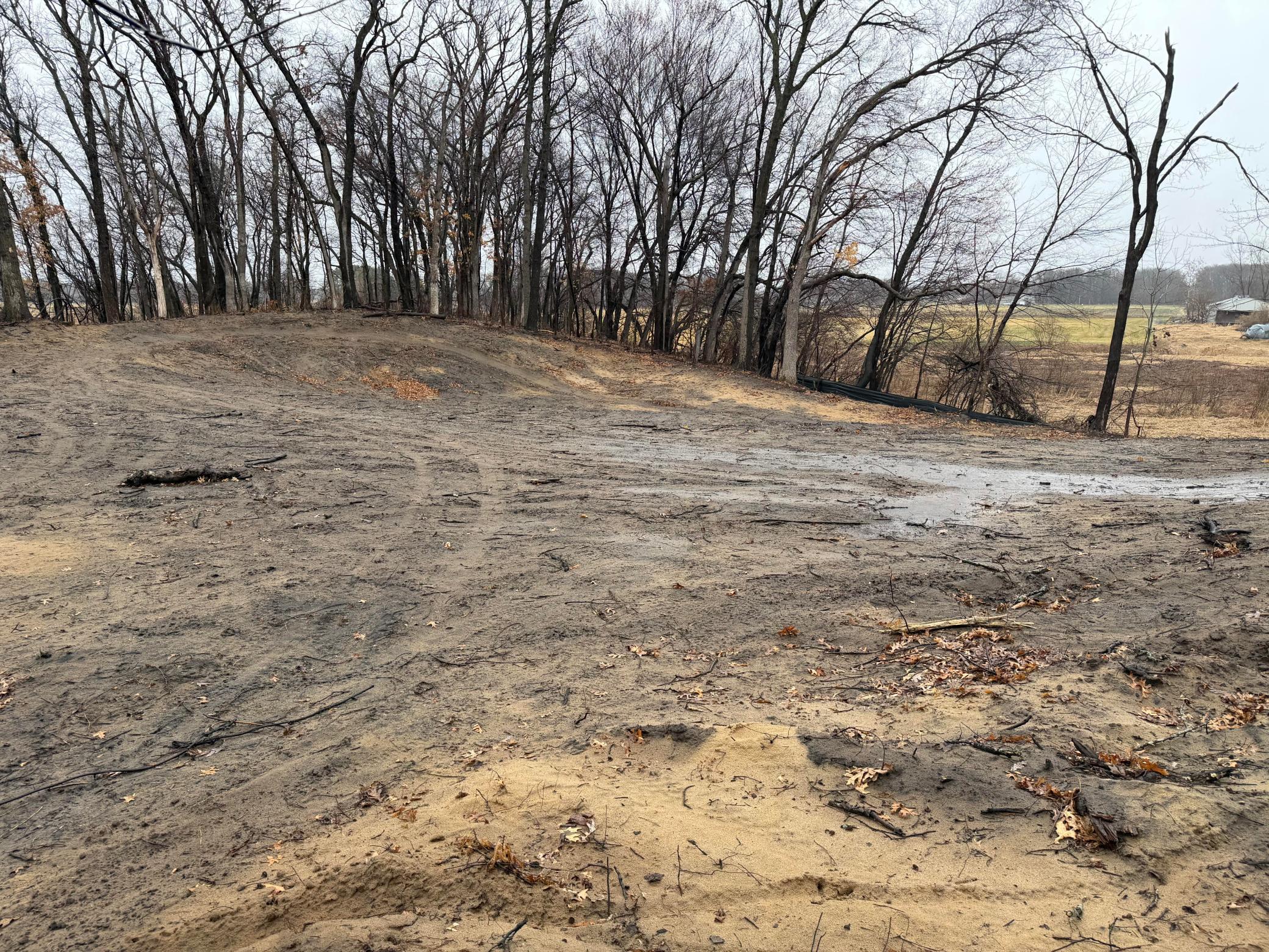 Tree-framed walk-out lot with abundant nature surrounding your future custom home!