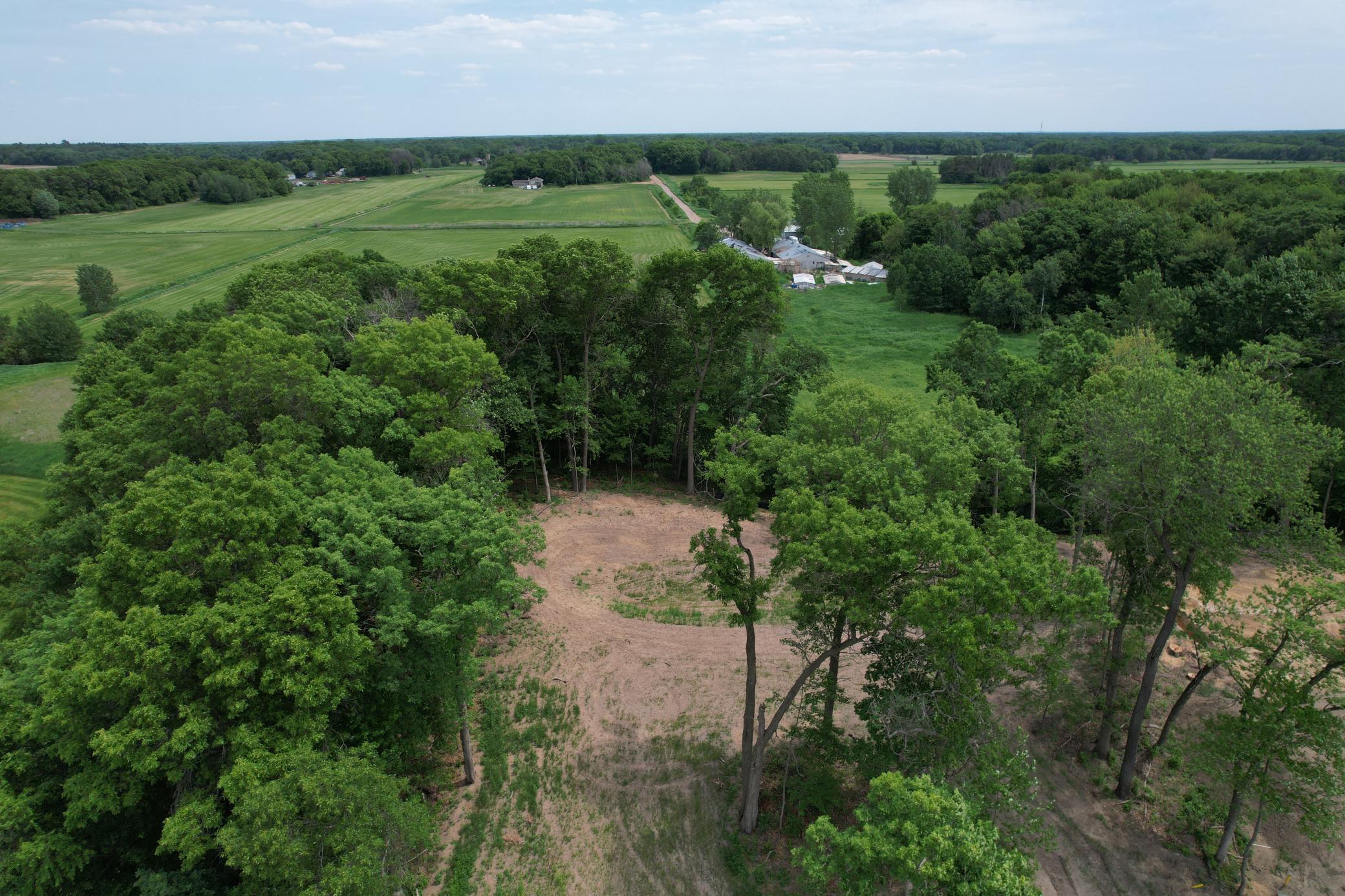 Premium Walkout Wooded Lot
