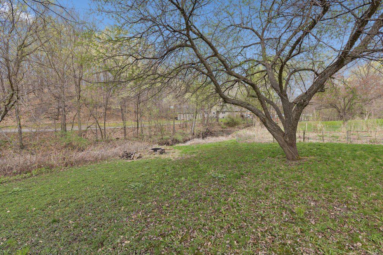 Peaceful view in your own backyard