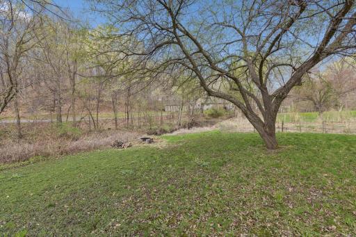 Peaceful view in your own backyard