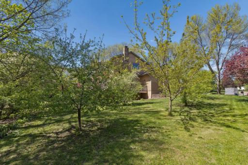 Another view of the fruit trees and side yard