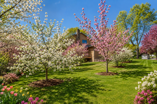 Virtually enhanced mini-orchard complete w/honeycrisp apple trees, pears, chokecherry, and apricot.