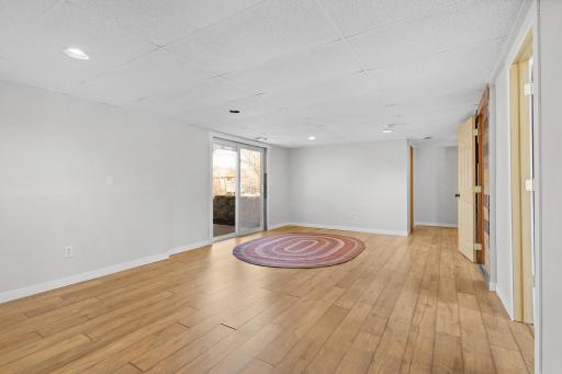 Large lower level family room with walk out