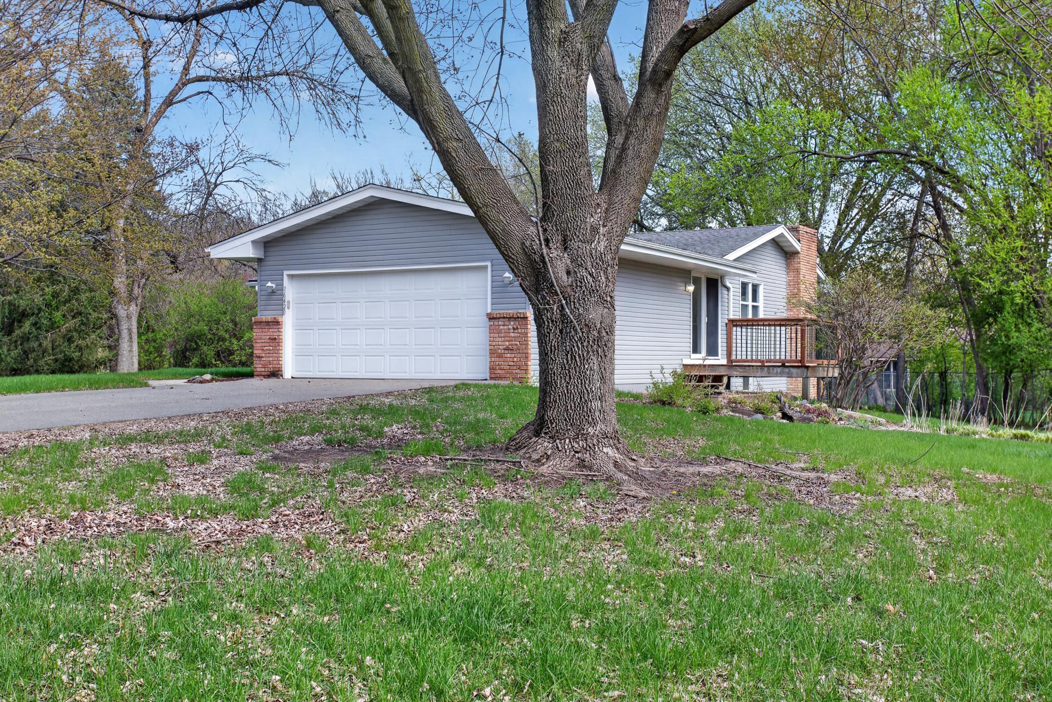 Huge Yard!