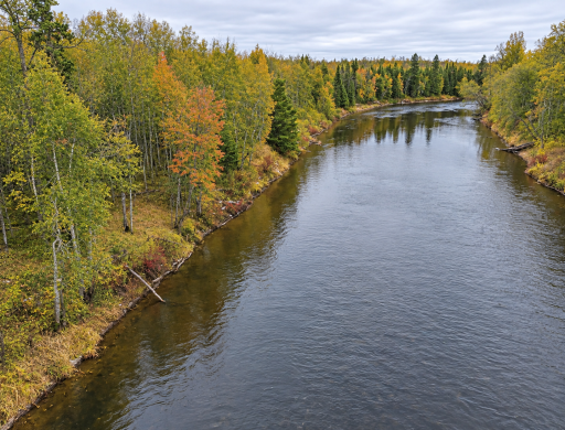 TBD Highway 5, Effie, MN 56639