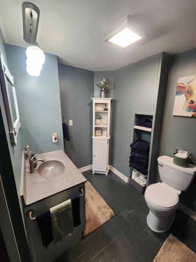 204 W Main Street, Adams, MN 55909