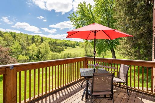 31500 Echo Valley Trail, Cannon Falls, MN 55009