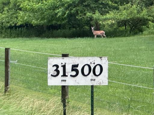 31500 Echo Valley Trail, Cannon Falls, MN 55009