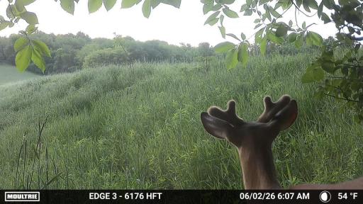 The kind of view that's worth pausing for.