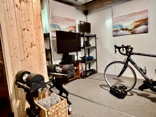 Lower Level Utility room with sauna and workout area.