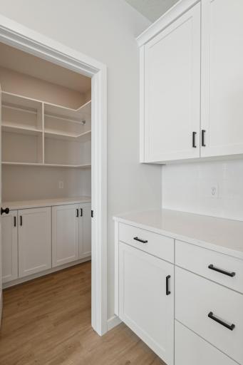 Walk-in pantry with lower cabinetry and open upper shelving, designed for practical storage and everyday convenience.