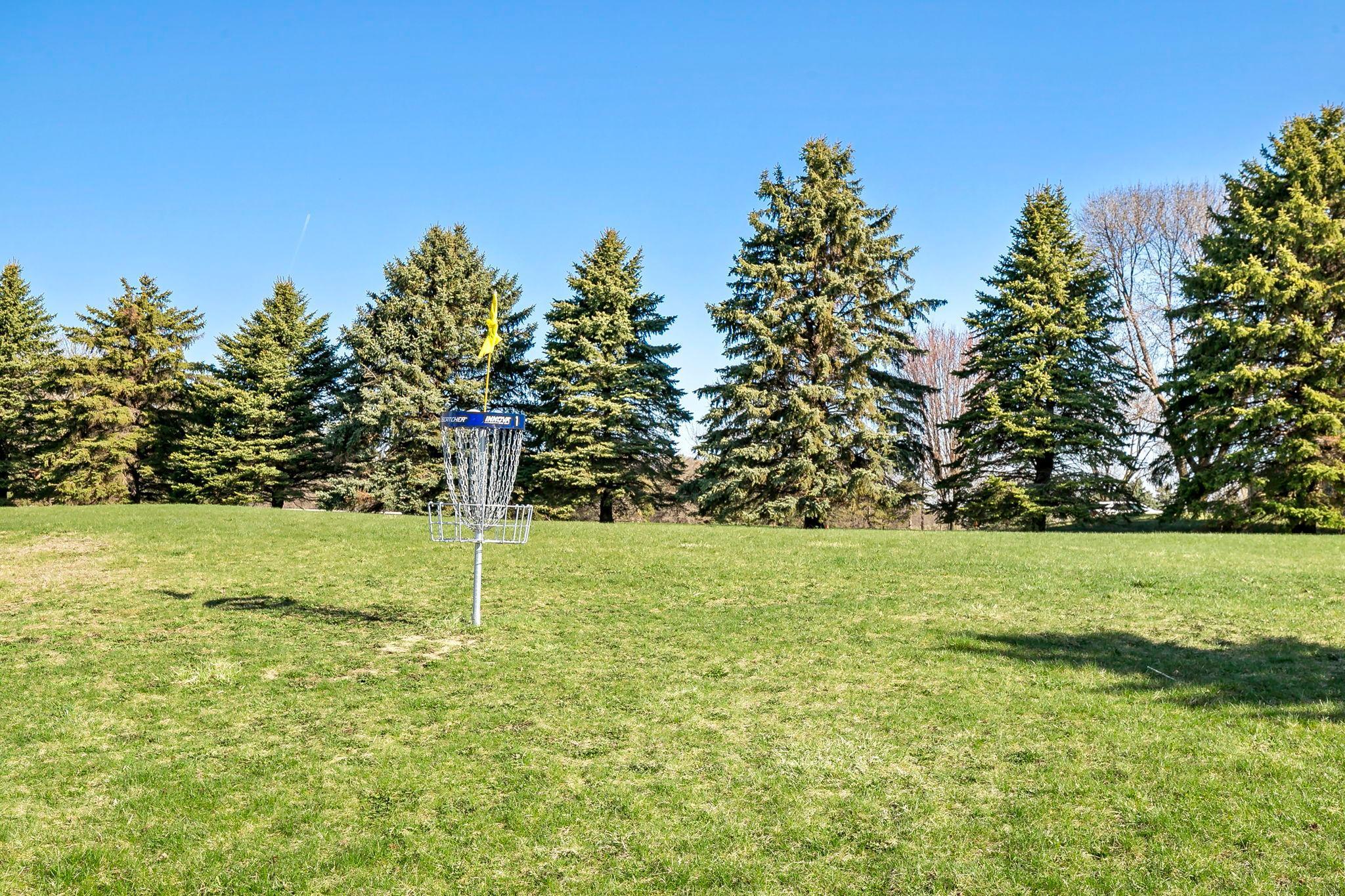 A disc golf basket stands in an open grassy field, surrounded by tall evergreen trees under a clear blue sky.