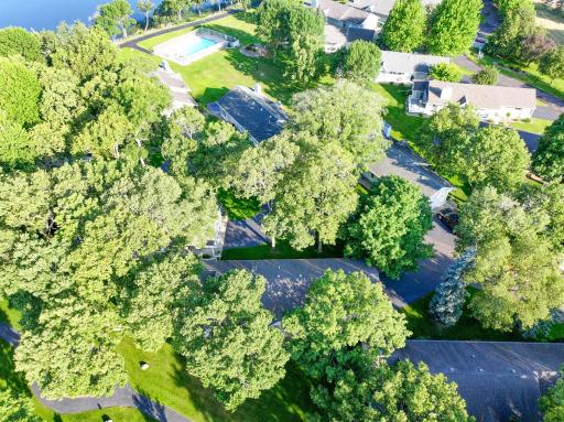 Drone Image