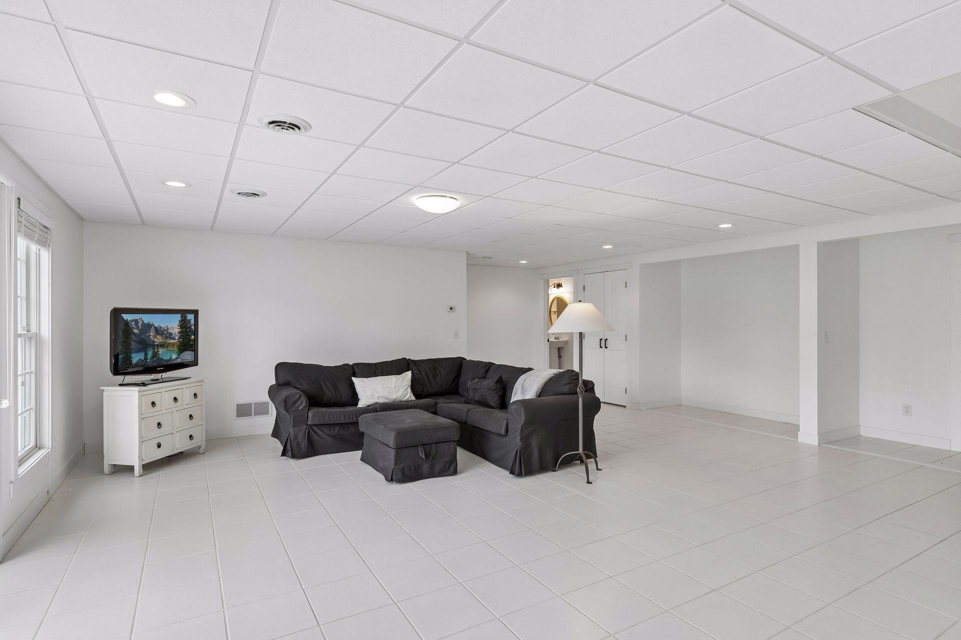 Lower level family room