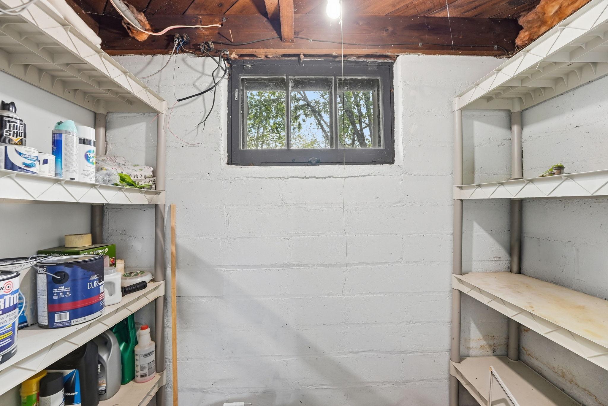 Storage in Basement
