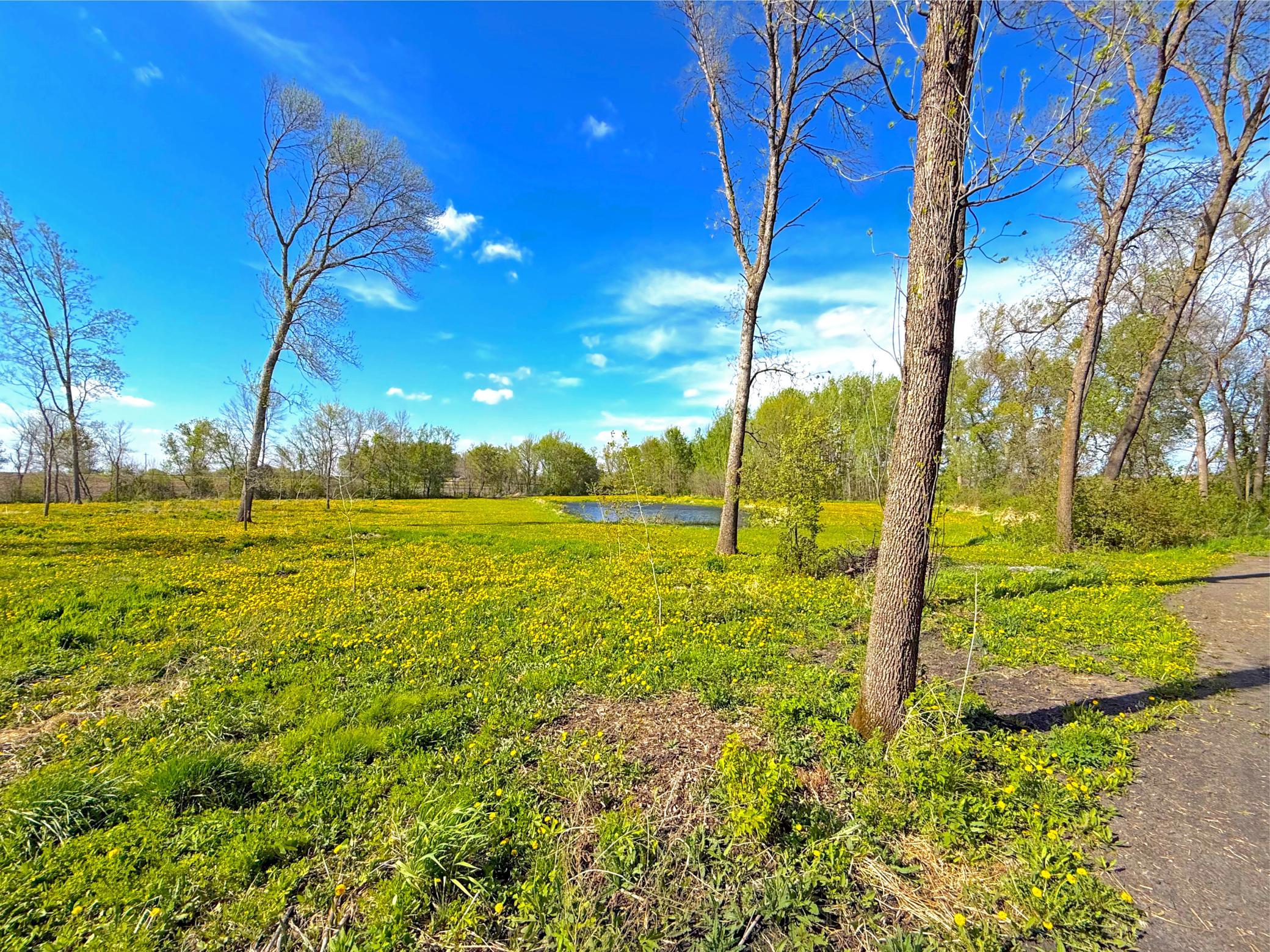 Additional enhancements include the removal of invasive buckthorn, clearing of dead trees, stump removal, and reestablishment of the land with a diverse mix of tree species.