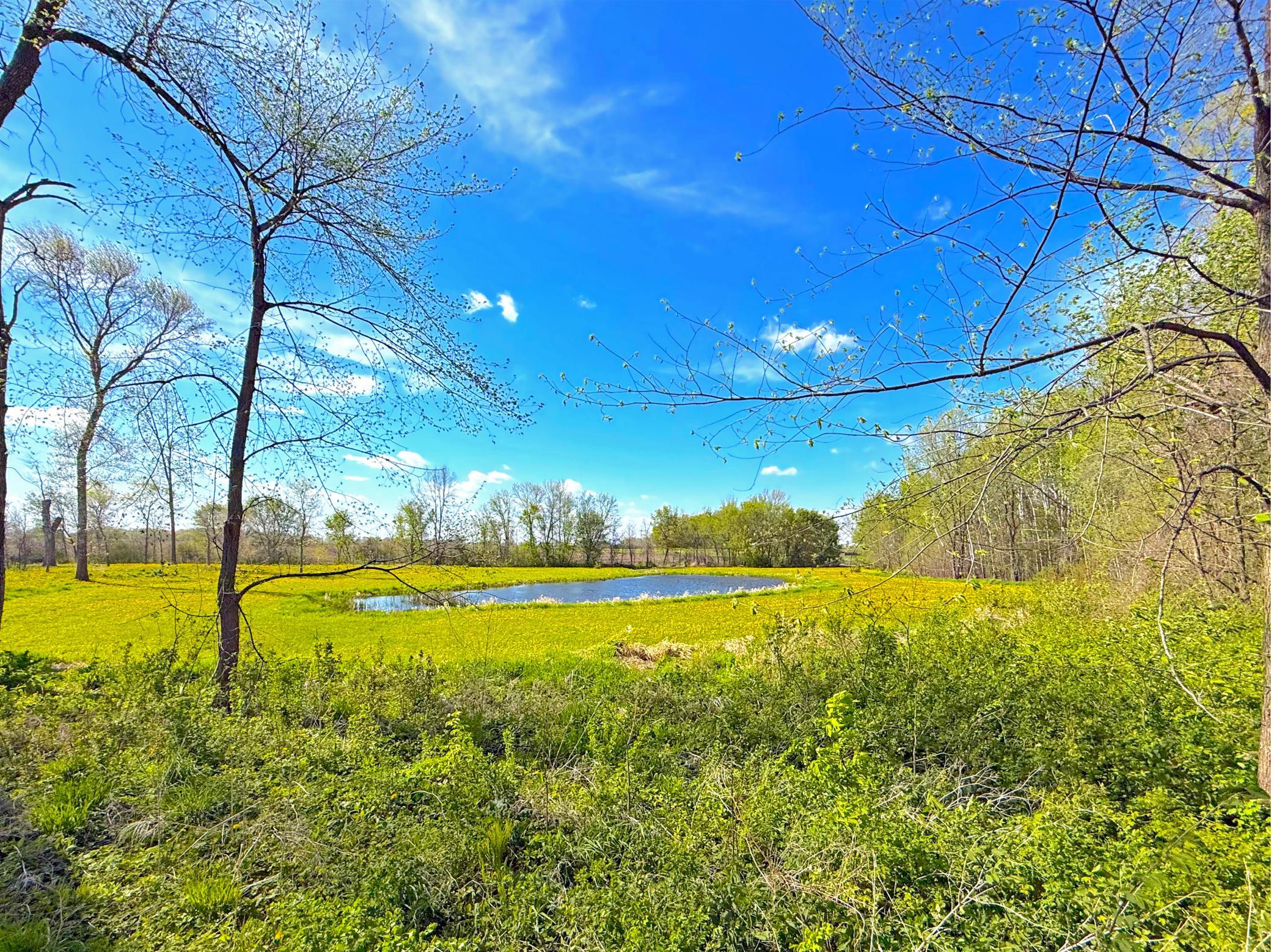 Improved 16.2-acre rural retreat, where thoughtful land management has transformed once overgrown and underutilized ground into a productive, accessible, and wildlife-rich setting.