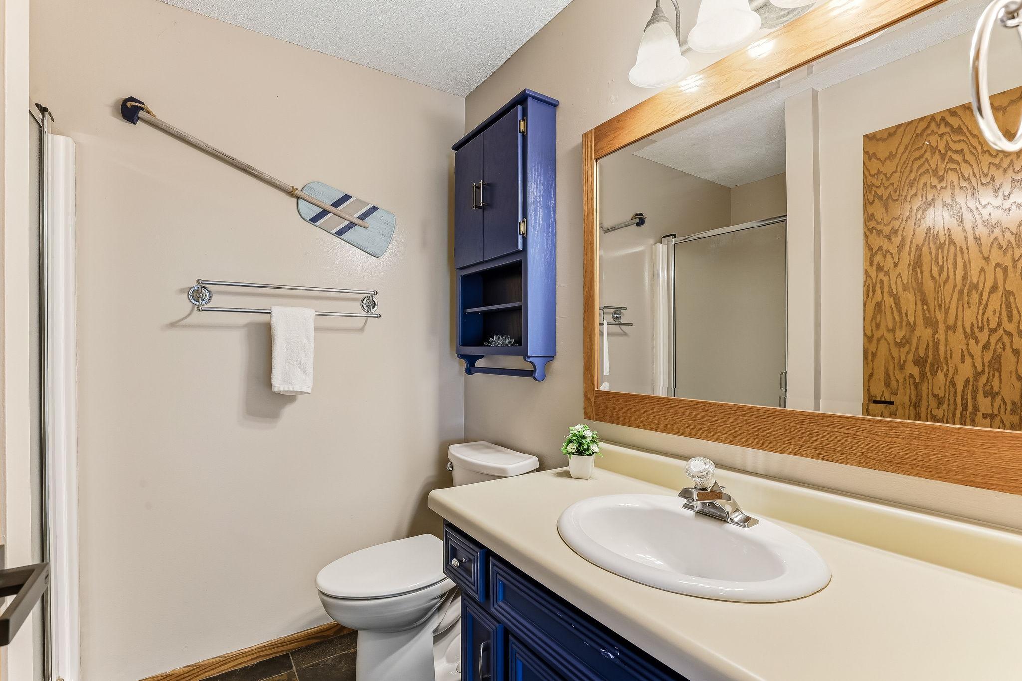 Lower Level Bathroom