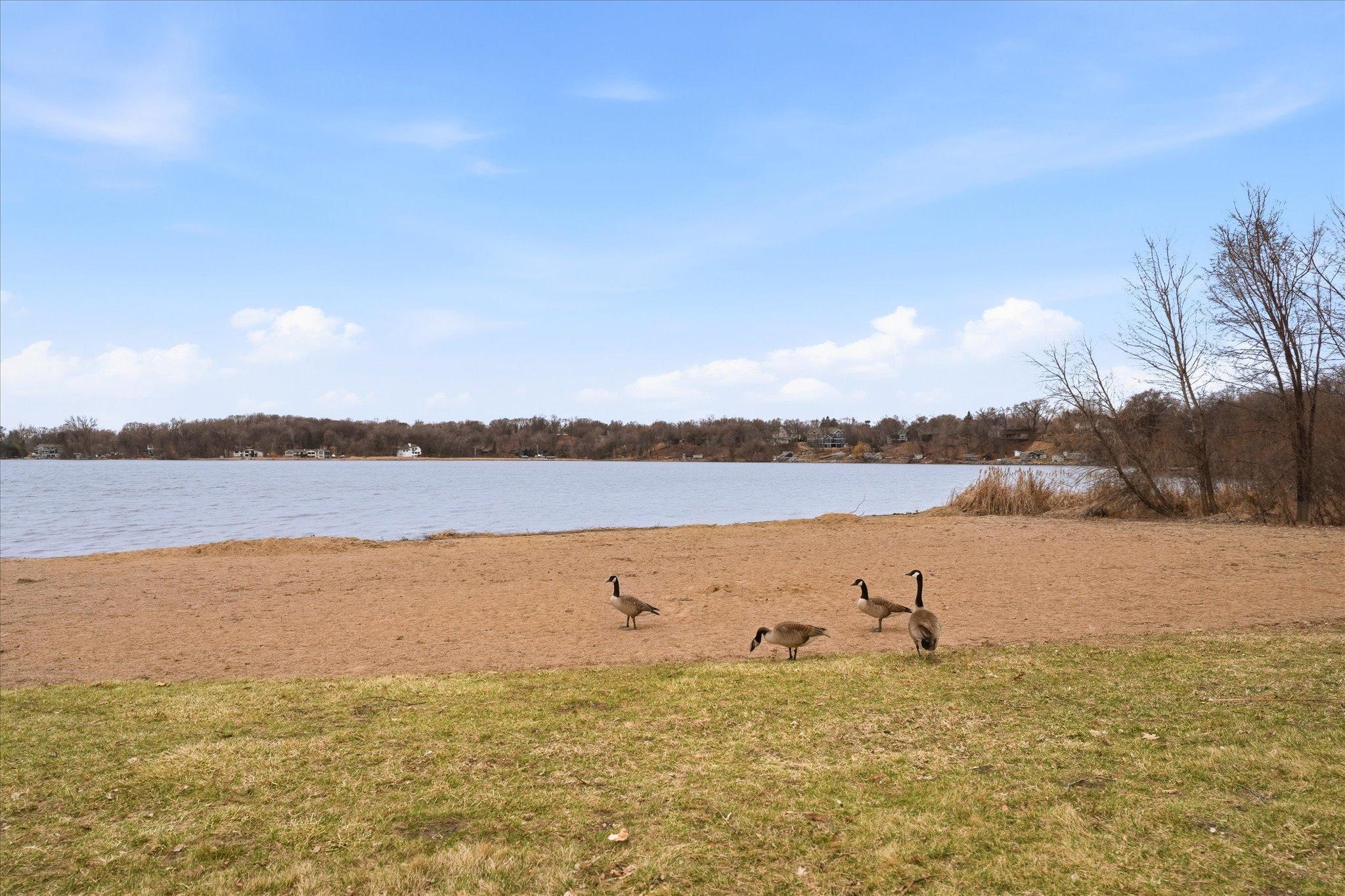Beaches are occupied with humans in the summer months!