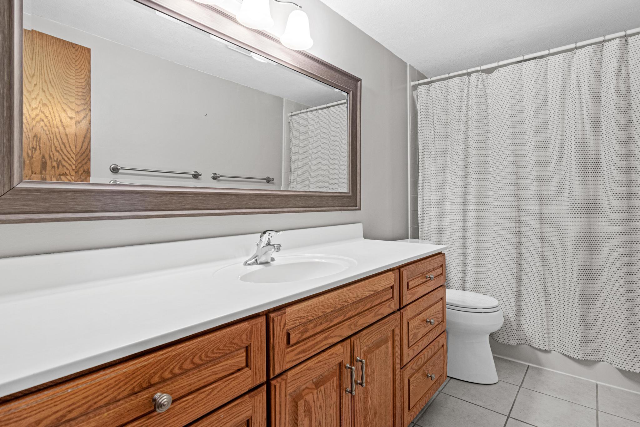 Lower level full bathroom