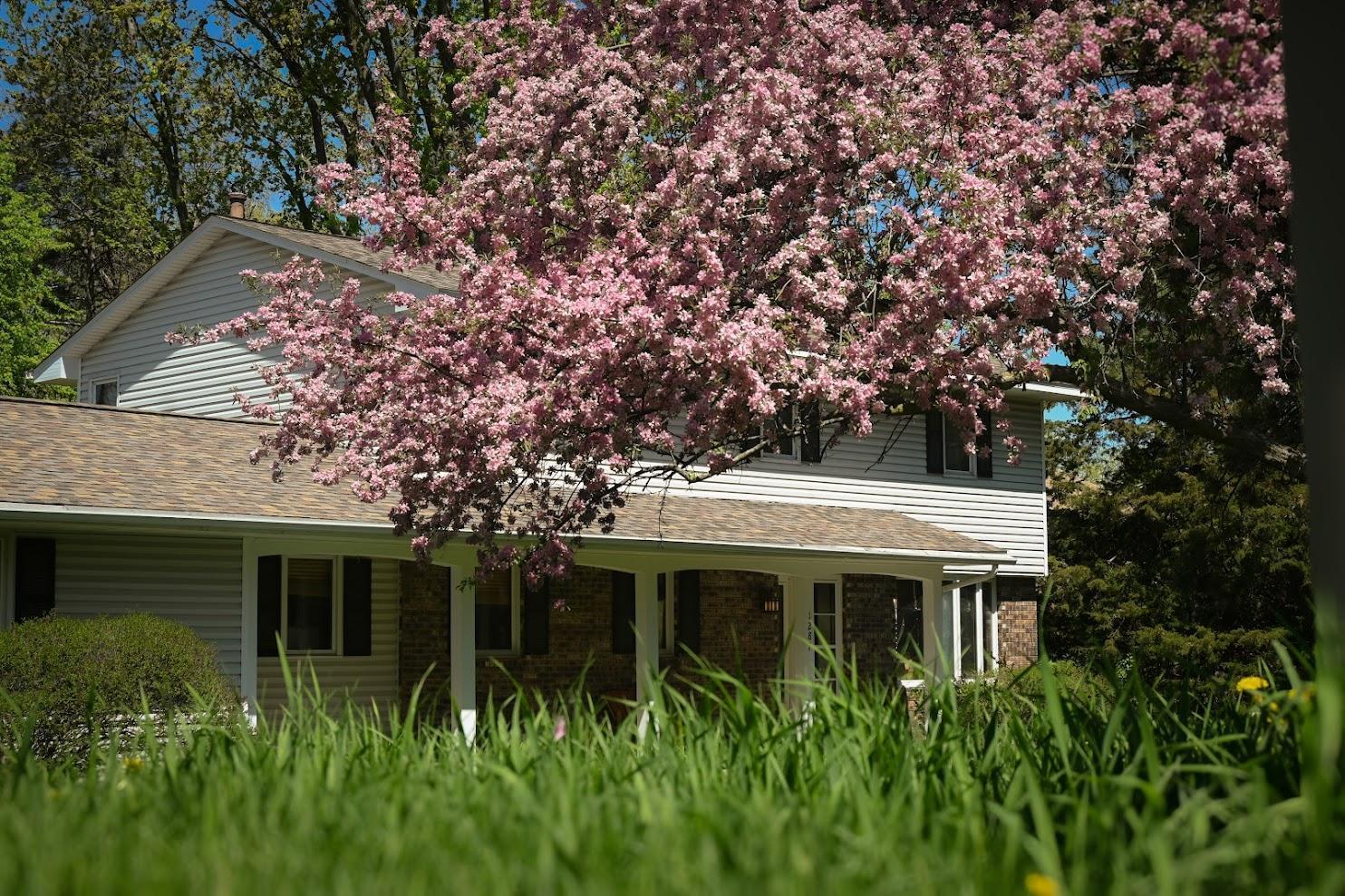 Ready for You to Enjoy this View in the Spring!