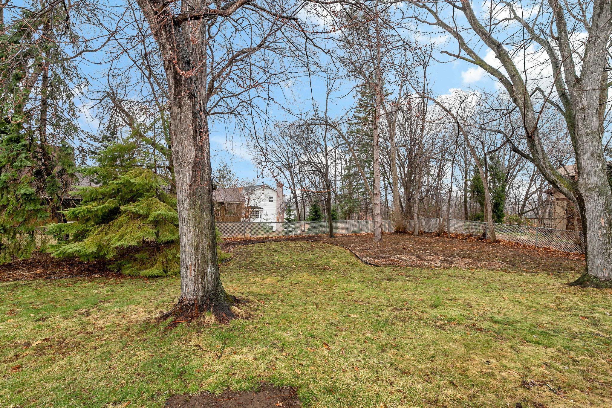 Fully Fenced Backyard with Plenty of Space to Enjoy