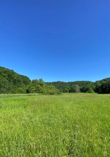 27333 Deep River Road, Lanesboro, MN 55949