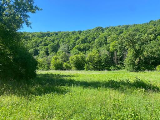 27333 Deep River Road, Lanesboro, MN 55949