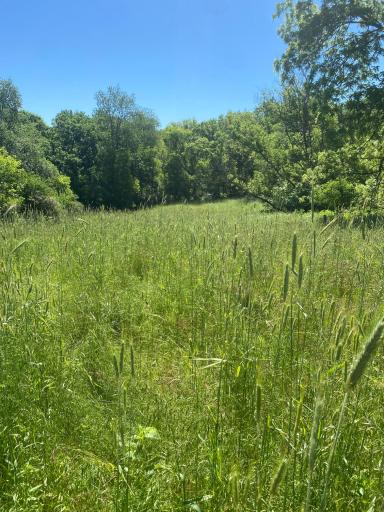 27333 Deep River Road, Lanesboro, MN 55949