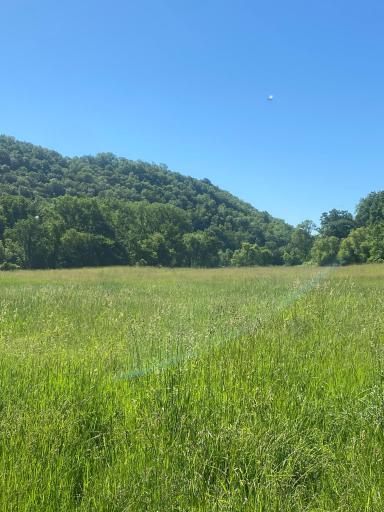 27333 Deep River Road, Lanesboro, MN 55949