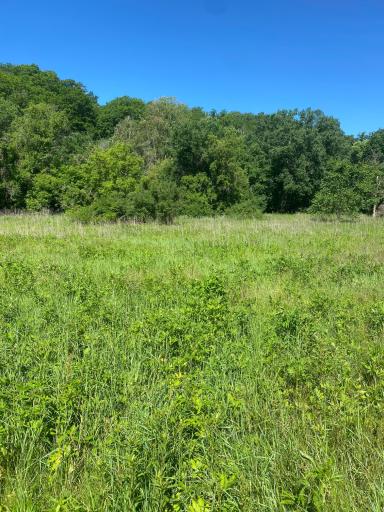 27333 Deep River Road, Lanesboro, MN 55949