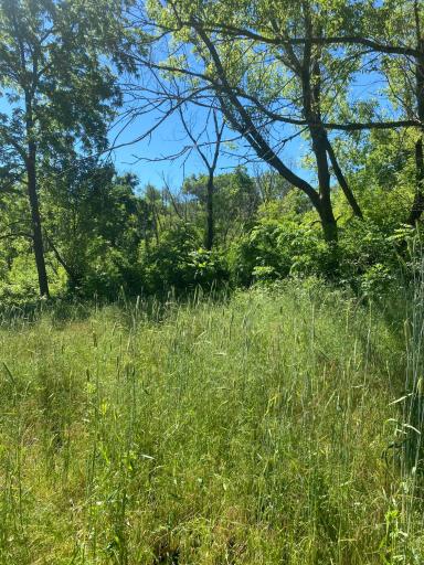 27333 Deep River Road, Lanesboro, MN 55949