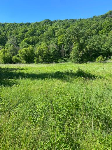 27333 Deep River Road, Lanesboro, MN 55949