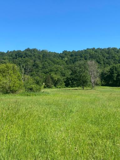 27333 Deep River Road, Lanesboro, MN 55949