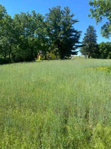 27333 Deep River Road, Lanesboro, MN 55949