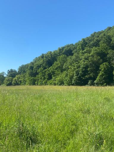 27333 Deep River Road, Lanesboro, MN 55949