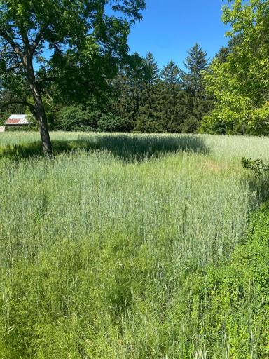 27333 Deep River Road, Lanesboro, MN 55949