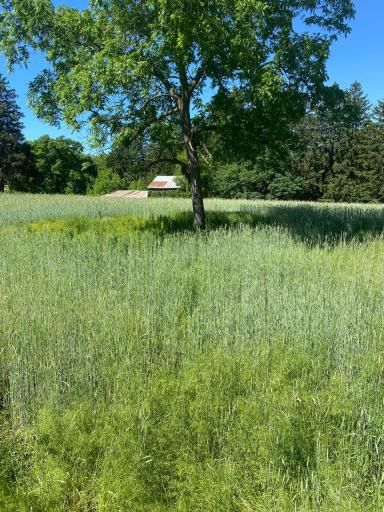 27333 Deep River Road, Lanesboro, MN 55949