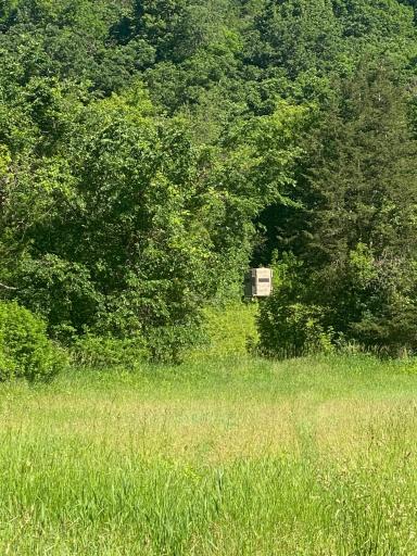 27333 Deep River Road, Lanesboro, MN 55949