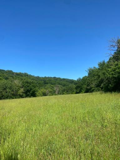 27333 Deep River Road, Lanesboro, MN 55949