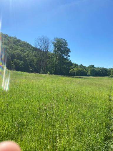 27333 Deep River Road, Lanesboro, MN 55949