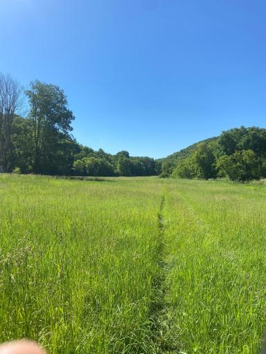 27333 Deep River Road, Lanesboro, MN 55949